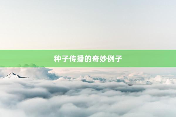 种子传播的奇妙例子