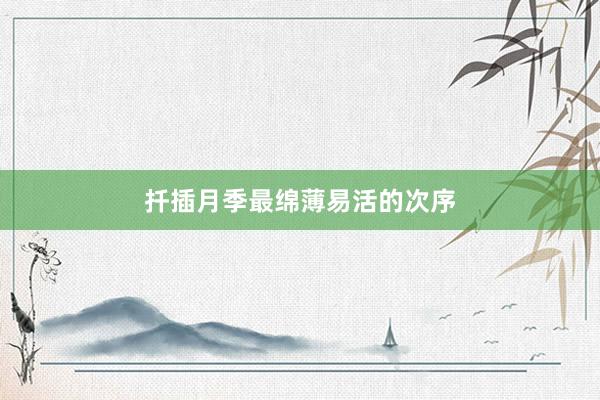 扦插月季最绵薄易活的次序