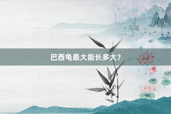 巴西龟最大能长多大？