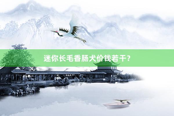 迷你长毛香肠犬价钱若干？