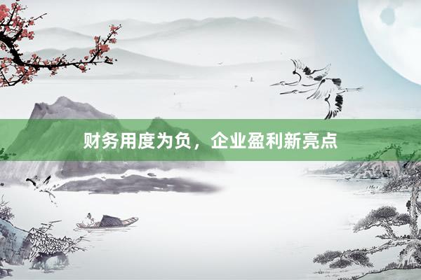 财务用度为负，企业盈利新亮点